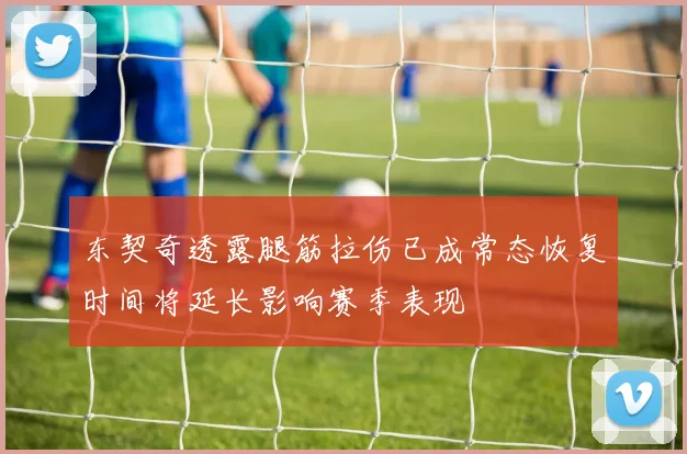 东契奇透露腿筋拉伤已成常态恢复时间将延长影响赛季表现
