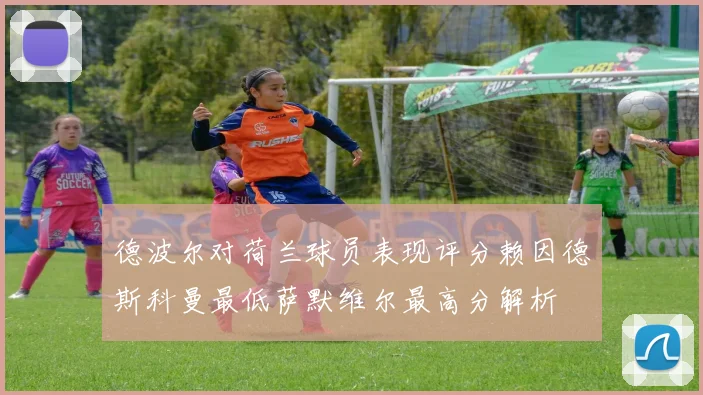 德波尔对荷兰球员表现评分赖因德斯科曼最低萨默维尔最高分解析